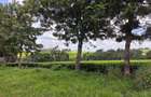 Land at Tigoni - 1