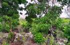 2,010 m² Residential Land at Second Row Kuruwitu Beach - 13
