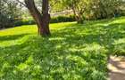0.75 ac Commercial Land in Lavington - 9