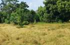 Land at Kilifi Town - 4