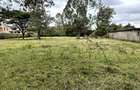 Land in Karen - 11