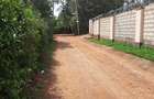 4 Bed House with En Suite in Ngong - 7