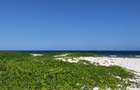 Land in Kilifi - 17