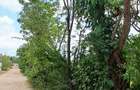 Land at Diani Beach Road - 6