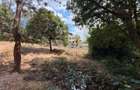 Land in Kiambu Road - 7