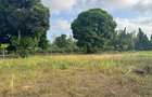 30 ac Land at Kikambala Bomani - 3