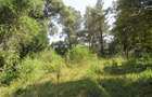 9 ac Land at Karen - 7