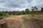 Land in Karen Hardy - 4