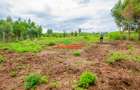 0.05 ha Residential Land at Nduiguine - 1