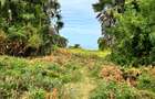 Land in Nyali Area - 4