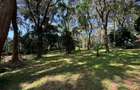 1 ac Land in Karen - 10