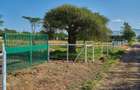 505 ac Land at Maiyan Road - 12