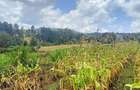 Land at Kibirichia - 13