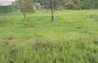 Residential Land at Karen Dagoreti Road - 9