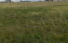0.125 ac Residential Land at Kitengela Milimani - 15