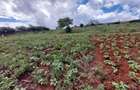 Land at Kibiko - 7