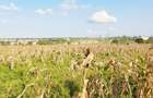 Land in Kilifi - 6