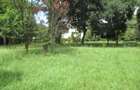 Residential Land at Koitobos Rd - 8