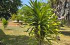4 Bed Villa with En Suite at Vipingo - 17
