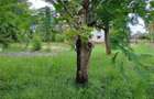 3 Bed Townhouse in Karen - 8