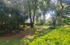 4 Bed House with En Suite at Loresho - 18