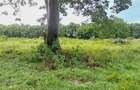 Land in Vipingo - 12