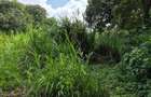 Commercial Land in Kitisuru - 9