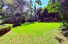 1 ac Land in Spring Valley - 9