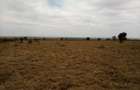 Land at Umma University - 11