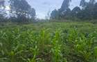 1 ac Land at Gicharani - 3