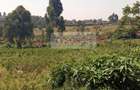 4,047 m² Land in Kikuyu Town - 3