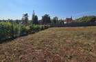 0.49 ac Residential Land in Runda - 3