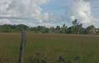Land in Karen - 4