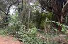 0.25 ac Commercial Land in Ngong - 7