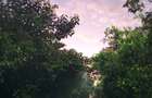 Residential Land at Karen - 3