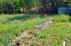 4 Bed House with En Suite in Karen - 6