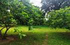 8 ac Land at Vipingo - 2