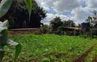 0.2 ac Residential Land at Windridge - 4