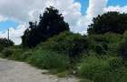 Land at Malindi - 13