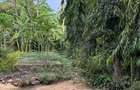 8,093.72 m² Land at Mtwapa - Mtepeni - 20