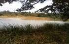 Land at Makuyu - 4