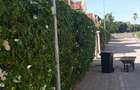 4 Bed Townhouse with En Suite at Mt Kenya - 4