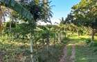 Land at Kwale - 1