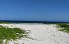 Land in Kilifi - 16