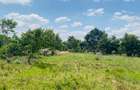 19 ac Land at Kenol-Makutano Highway - 18