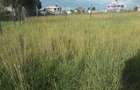0.0125 ac Residential Land in Ongata Rongai - 6