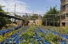Land in Murang'a County - 5