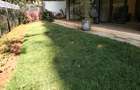 Furnished 4 Bed Apartment with En Suite in Spring Valley - 12