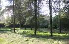 0.10 ha Land at Magadi Road - 1