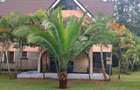 4 Bed Townhouse with En Suite in Karen - 15